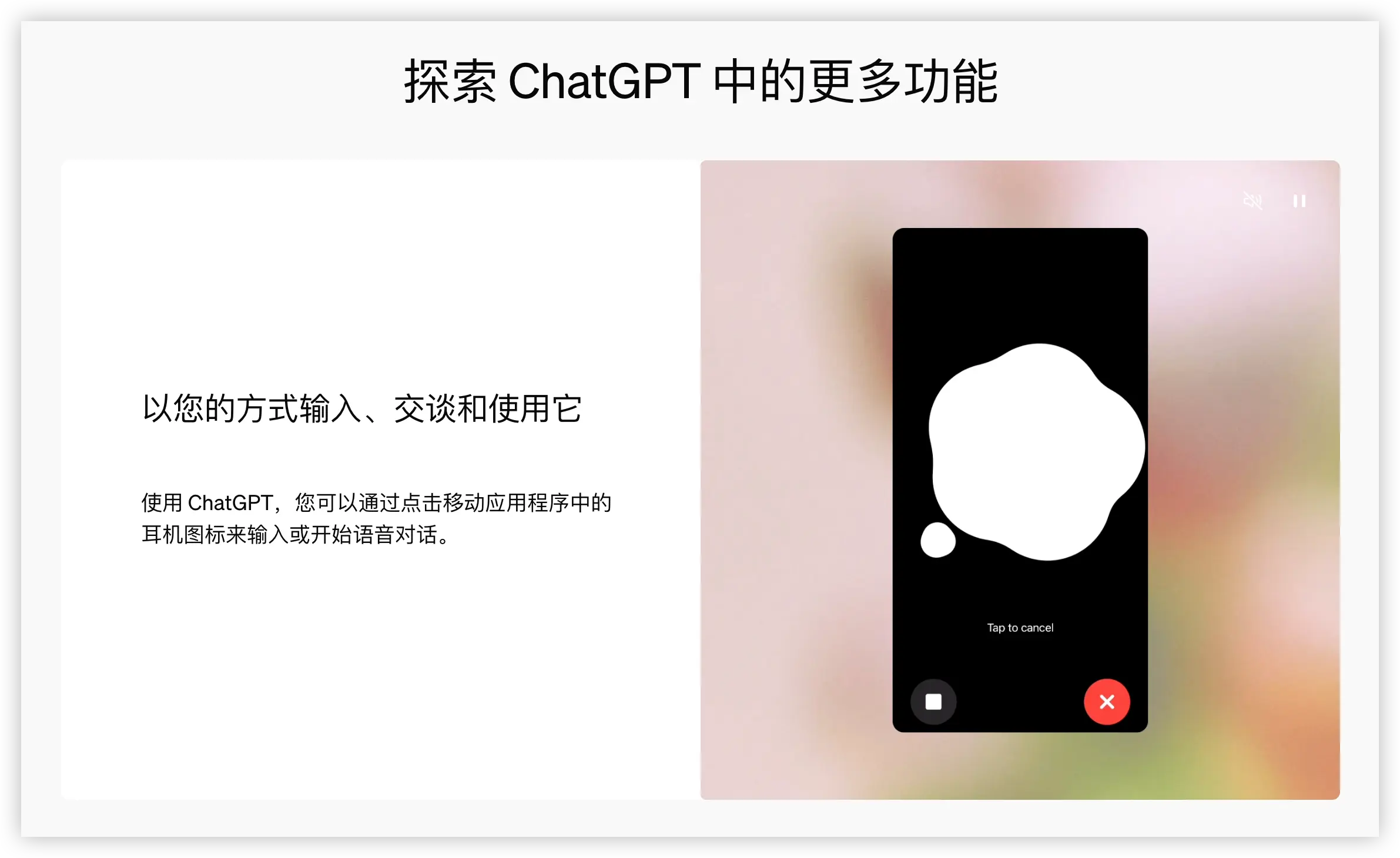 ChatGPT对话界面展示